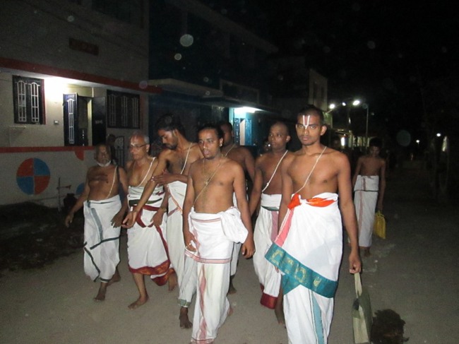 Thiruvellarai Brahmotsavam Hamsa Vahanam  2014--14