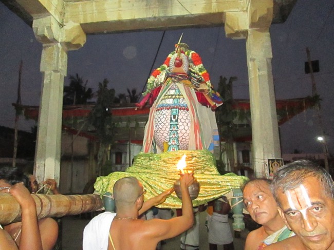 Thiruvellarai Brahmotsavam Hamsa Vahanam  2014--27