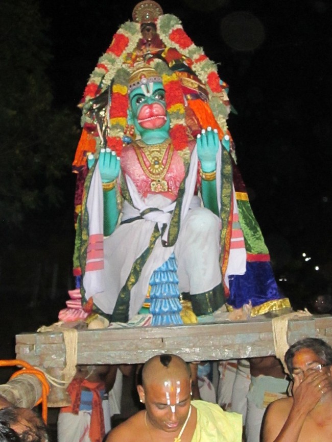 Thiruvellarai Brahmotsavam Hanumantha vahanami 2014 -05