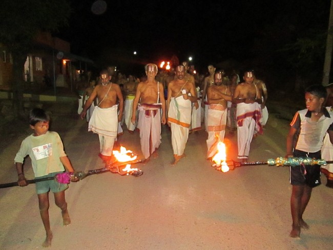 Thiruvellarai Brahmotsavam Hanumantha vahanami 2014 -08
