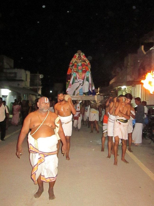 Thiruvellarai Brahmotsavam Hanumantha vahanami 2014 -19