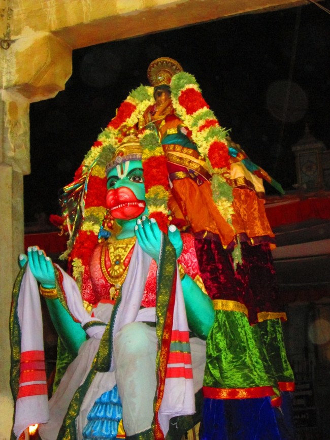 Thiruvellarai Brahmotsavam Hanumantha vahanami 2014 -27