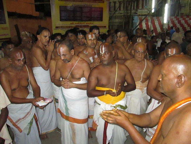 Thiruvellarai Brahmotsavam Hanumantha vahanami 2014 -29