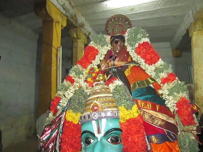 Thiruvellarai Brahmotsavam Hanumantha vahanami 2014 -33