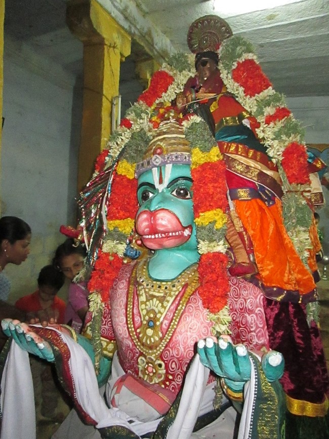 Thiruvellarai Brahmotsavam Hanumantha vahanami 2014 -34