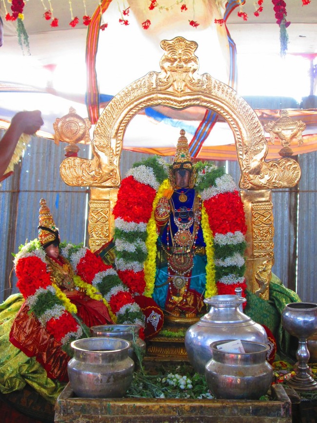 Thiruvellarai Brahmotsavam Perumal vadathirukaveri Ezhundarulal 2014 -01