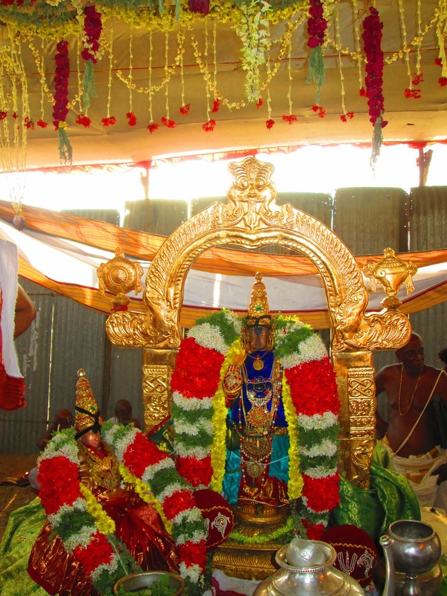 Thiruvellarai Brahmotsavam Perumal vadathirukaveri Ezhundarulal 2014 -04