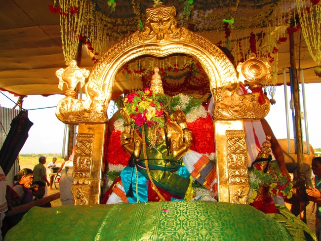 Thiruvellarai Brahmotsavam Perumal vadathirukaveri Ezhundarulal 2014 -05