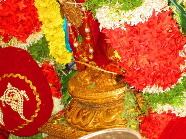 Thiruvellarai Brahmotsavam Perumal vadathirukaveri Ezhundarulal 2014 -07