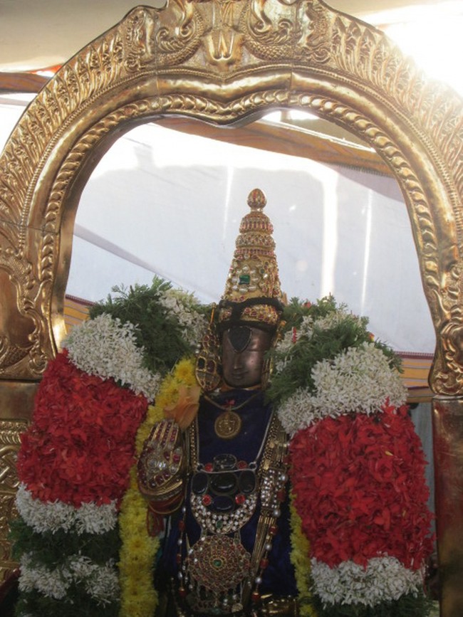 Thiruvellarai Brahmotsavam Perumal vadathirukaveri Ezhundarulal 2014 -09