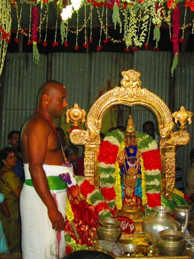 Thiruvellarai Brahmotsavam Perumal vadathirukaveri Ezhundarulal 2014 -10