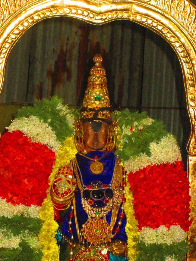 Thiruvellarai Brahmotsavam Perumal vadathirukaveri Ezhundarulal 2014 -12