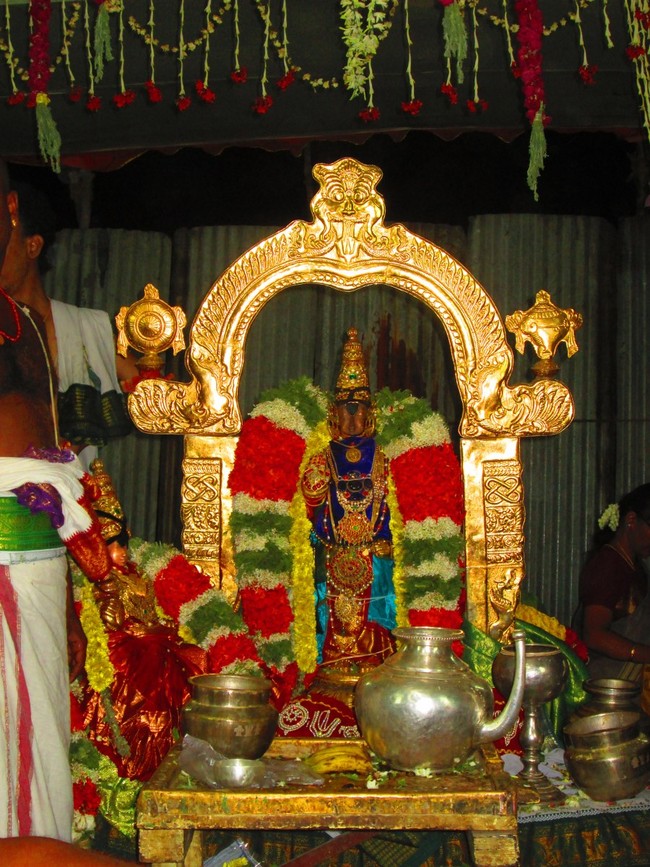 Thiruvellarai Brahmotsavam Perumal vadathirukaveri Ezhundarulal 2014 -14