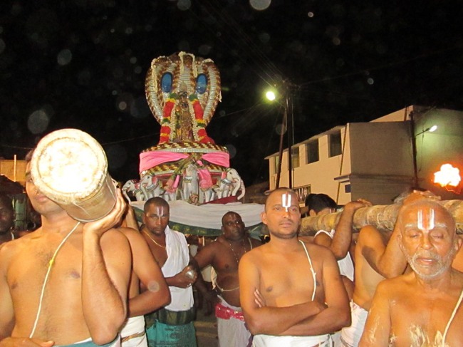 Thiruvellarai Brahmotsavam Sesha  Vahanam  2014--04
