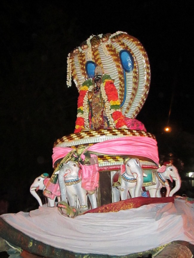 Thiruvellarai Brahmotsavam Sesha  Vahanam  2014--11