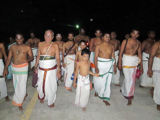 Thiruvellarai Brahmotsavam Sesha  Vahanam  2014--20