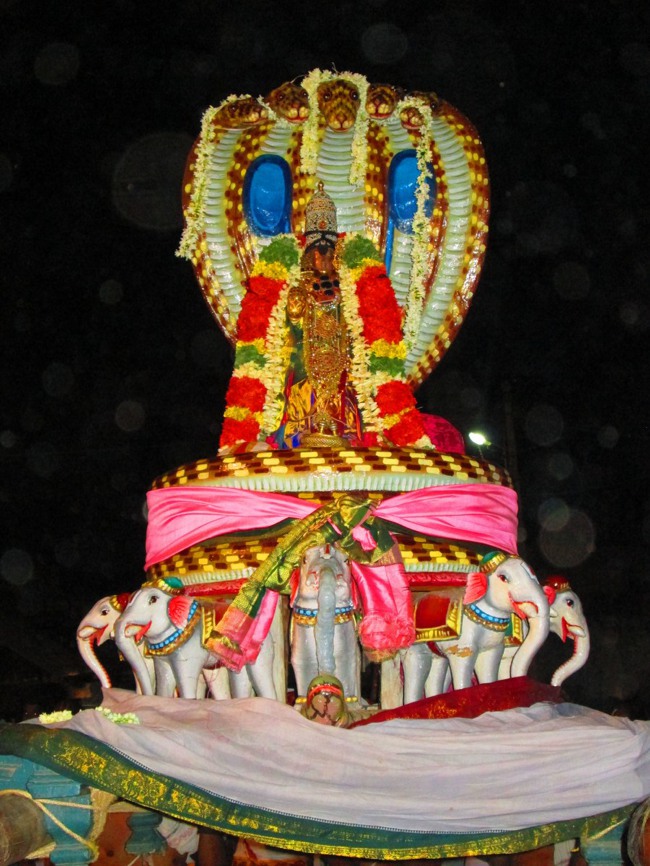Thiruvellarai Brahmotsavam Sesha  Vahanam  2014--27