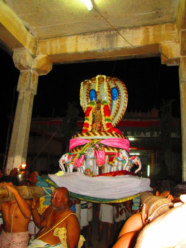 Thiruvellarai Brahmotsavam Sesha  Vahanam  2014--28