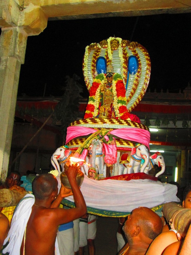 Thiruvellarai Brahmotsavam Sesha  Vahanam  2014--29