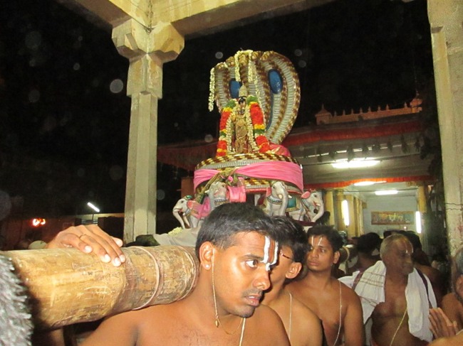 Thiruvellarai Brahmotsavam Sesha  Vahanam  2014--33