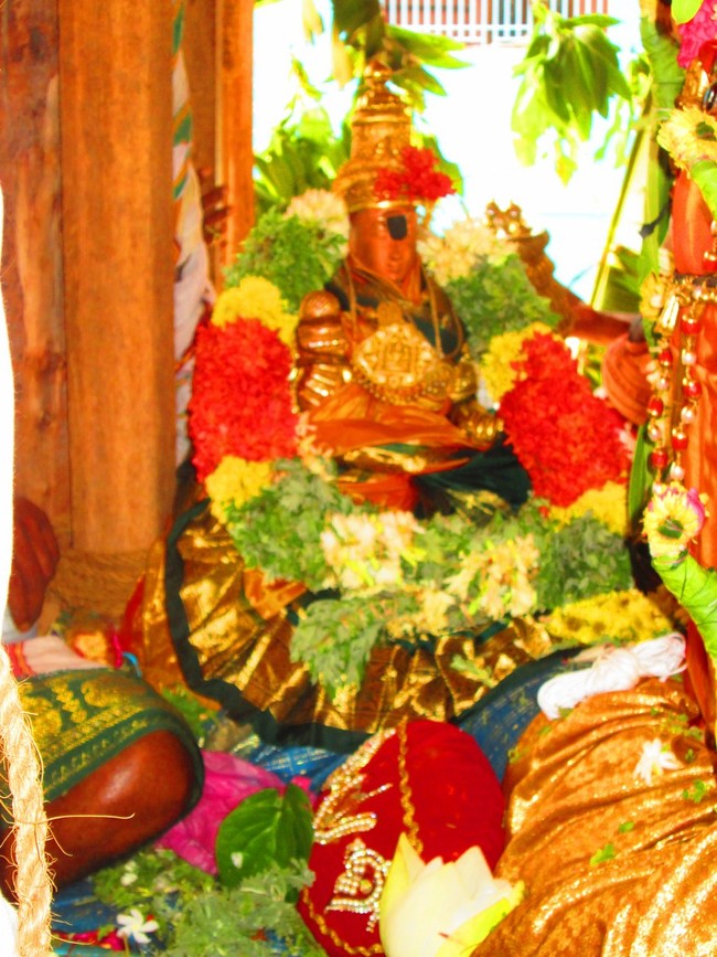 Thiruvellarai Brahmotsavam THer 2014 -28