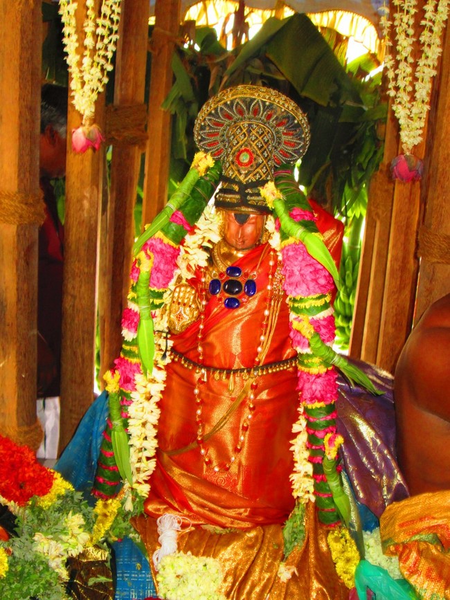 Thiruvellarai Brahmotsavam THer 2014 -31