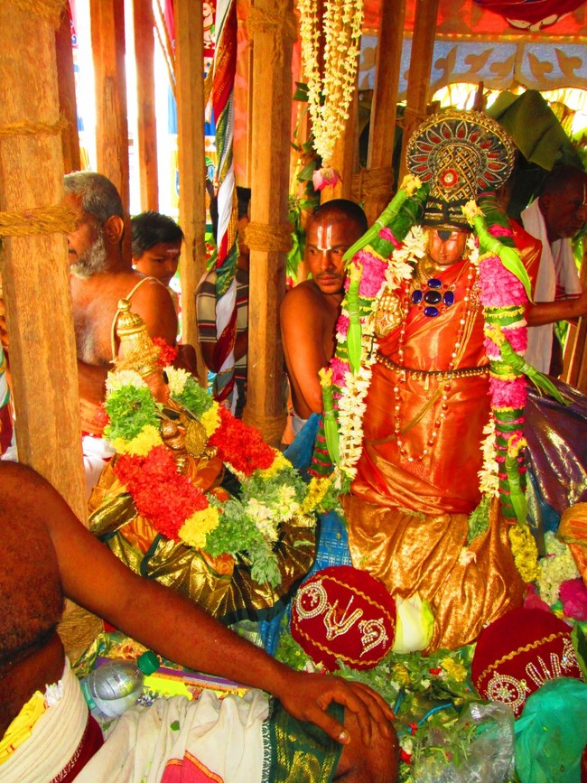 Thiruvellarai Brahmotsavam THer 2014 -34