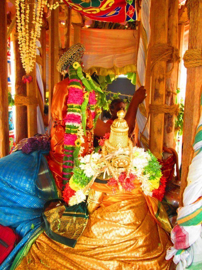 Thiruvellarai Brahmotsavam THer 2014 -38
