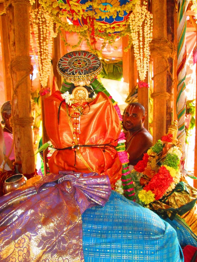 Thiruvellarai Brahmotsavam THer 2014 -39