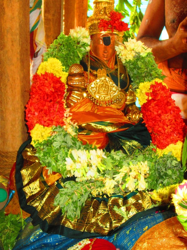 Thiruvellarai Brahmotsavam THer 2014 -40