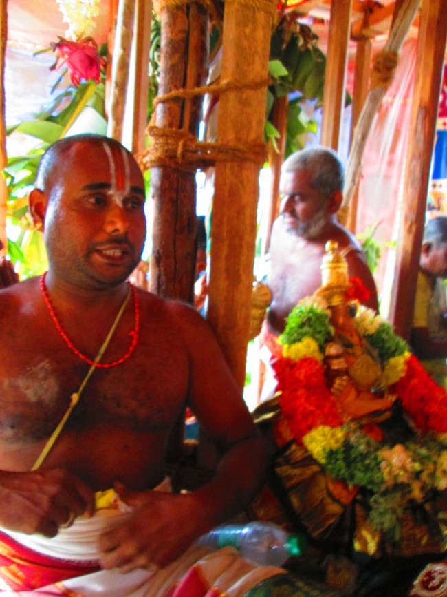 Thiruvellarai Brahmotsavam Ther- 2014 -30