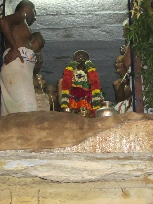 Thiruvellarai Brahmotsavam Yanai  vahanam 2014 -06