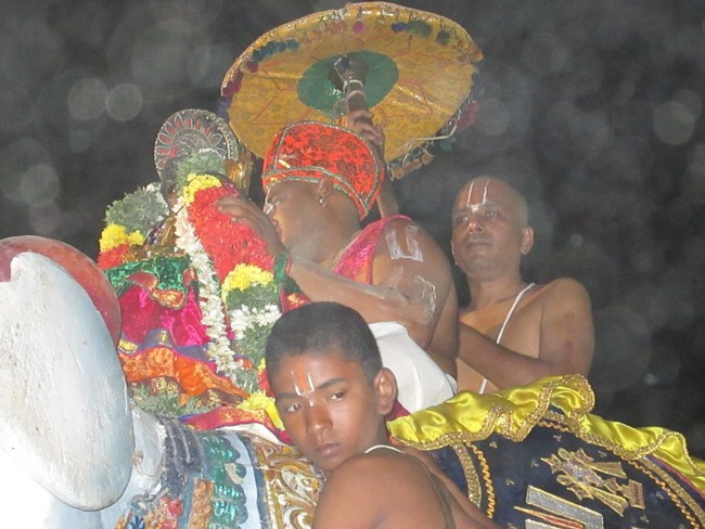 Thiruvellarai Brahmotsavam Yanai  vahanam 2014 -21