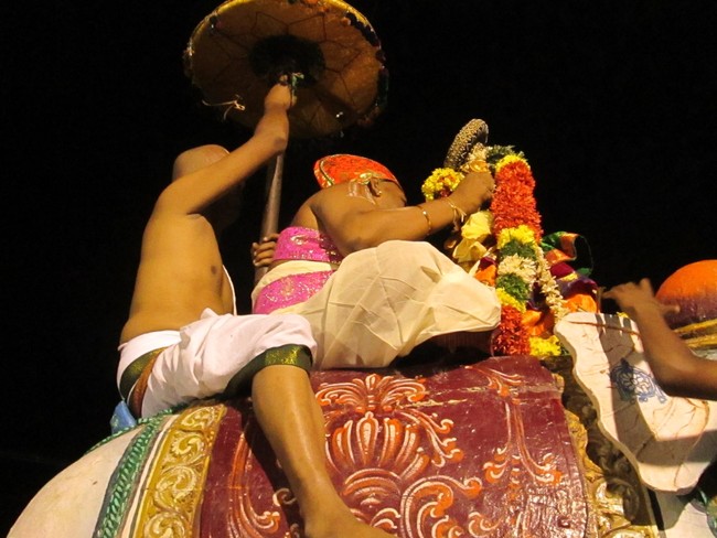 Thiruvellarai Brahmotsavam Yanai  vahanam 2014 -23