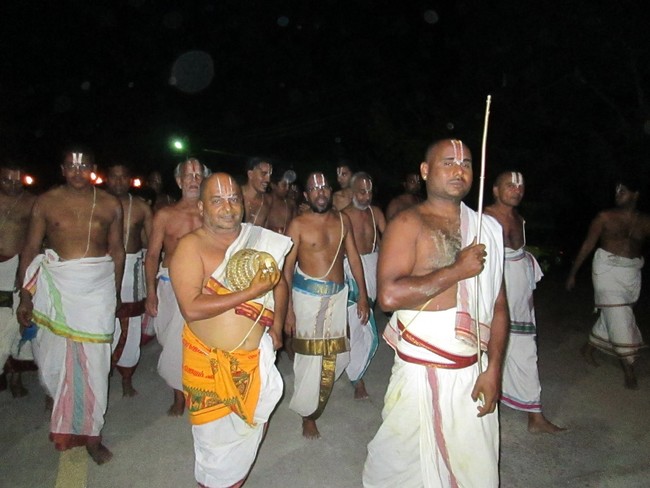 Thiruvellarai Brahmotsavam Yanai  vahanam 2014 -36