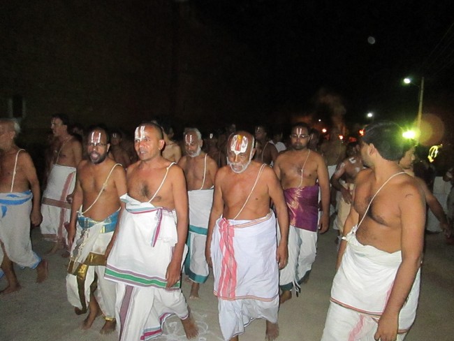 Thiruvellarai Brahmotsavam Yanai  vahanam 2014 -38