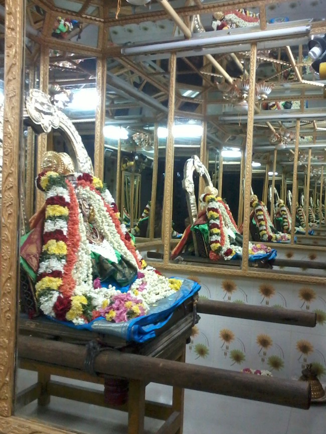 Thiruvellukkai Masi Kadi  Velli Thayar Purappadu  2014--00