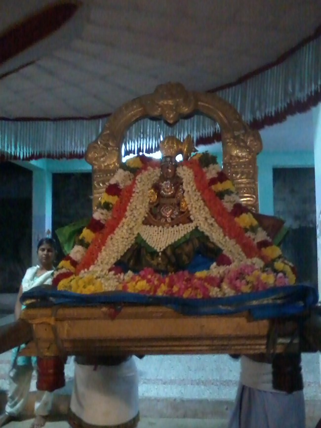 Thiruvellukkai Masi Kadi  Velli Thayar Purappadu  2014--03