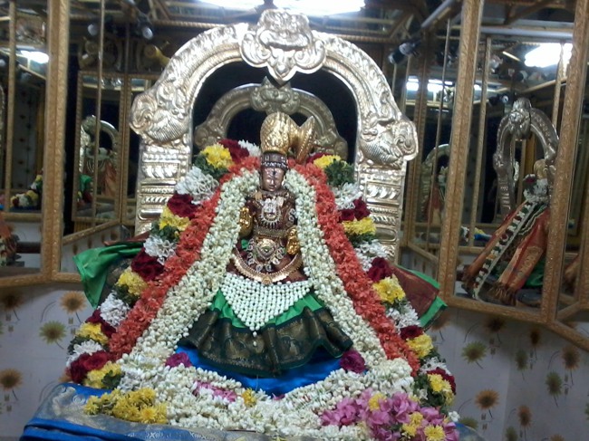 Thiruvellukkai Masi Kadi  Velli Thayar Purappadu  2014--07