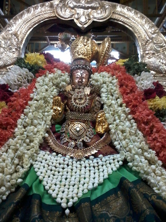 Thiruvellukkai Masi Kadi  Velli Thayar Purappadu  2014--09
