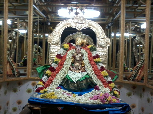 Thiruvellukkai Masi Kadi  Velli Thayar Purappadu  2014--10