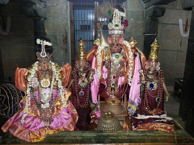 Thoopul Deepaprakasar Dhavana Utsavam 2014 -05
