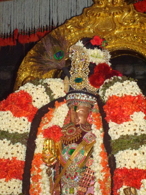 Thoopul Dhavanotsava Purappadu 2014 -07