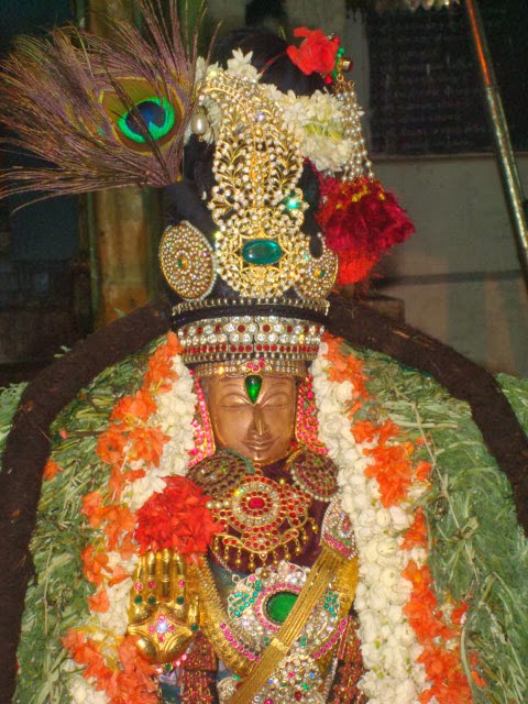 Thoopul Dhavanotsava Purappadu 2014 -27