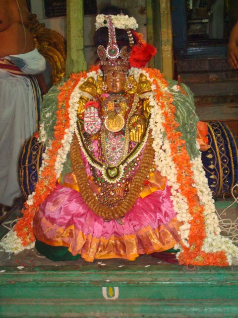 Thoopul Dhavanotsava Purappadu 2014 -29