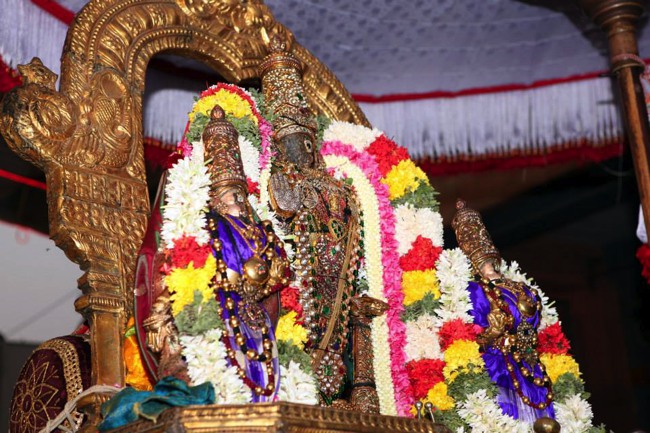 Triplicane Parthasarathy Kovil Theppotsvaam Day 1  2014--02