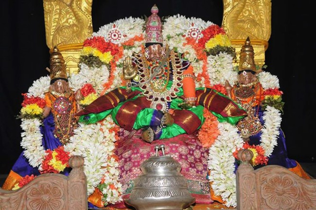 Upper Ahobilam Brahmotsavam Chatravata Narasimha Sevai 2014--03
