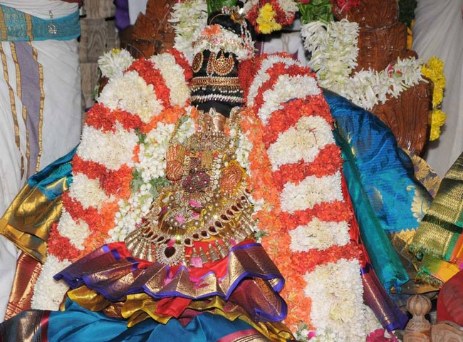 Upper Ahobilam Sri Lakshmi Narasimhar Thirukalyanam22