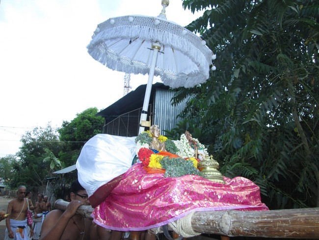 Vennatrankarai Andavan THirunakshatra Purappadu Srirangam 2014 -08