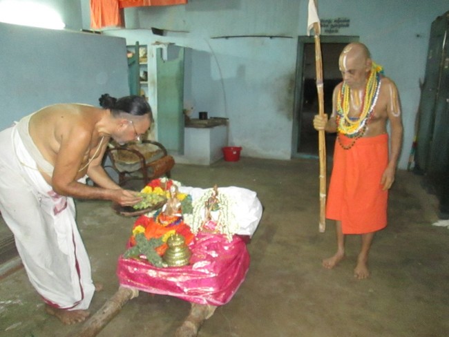 Vennatrankarai Andavan THirunakshatra Purappadu Srirangam 2014 -31